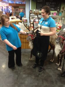 Animals visit shopping centre